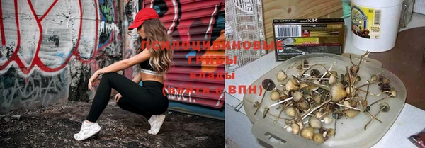 круглые Семикаракорск